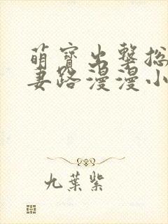 萌宝出击总裁追妻路漫漫小说封面