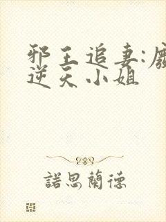 邪王追妻:废材逆天小姐