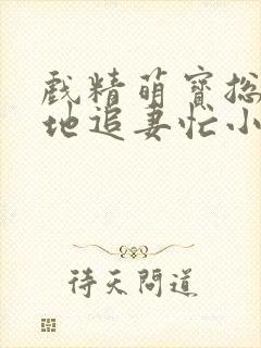 戏精萌宝总裁爹地追妻忙小说下载