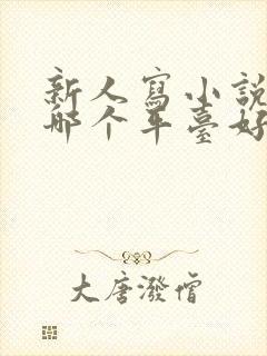 新人写小说赚钱哪个平台好