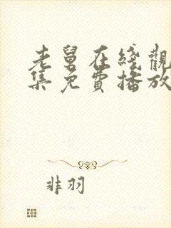 老舅在线观看全集免费播放