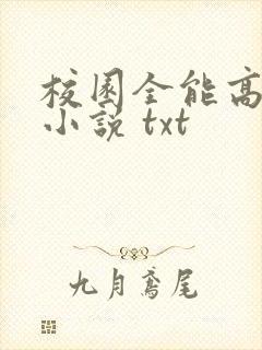 校园全能高手 小说 txt