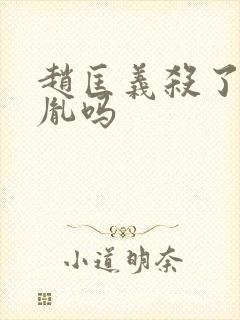 赵匡义杀了赵匡胤吗