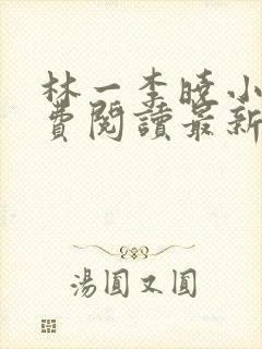 林一李晓小说免费阅读最新章节列表