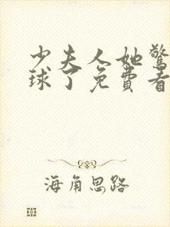 少夫人她惊艳全球了免费看