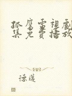 孤鹰电视剧40集免费播放封面