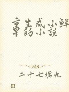 重生成小鲜肉明星的小说