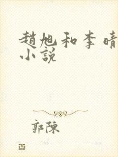 赵旭和李晴晴的小说