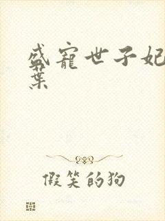 盛宠世子妃 偏叶