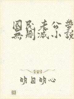 国民老公带回家无删减小说封面