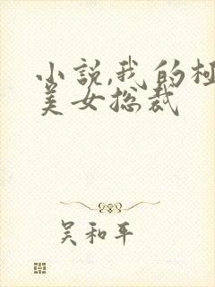 小说,我的极品美女总裁