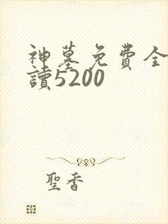 神墓免费全文阅读5200封面