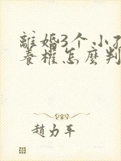 离婚3个小孩抚养权怎么判