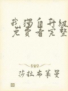 我独自升级动漫免费看完整版封面