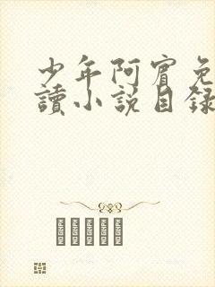 少年阿宾免费阅读小说目录全文