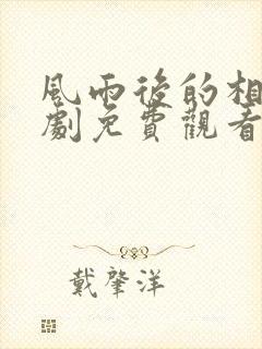 风雨后的相拥短剧免费观看