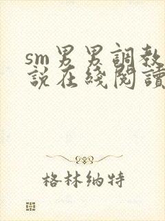 sm男男调教小说在线阅读封面