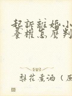 起诉离婚小孩抚养权怎么判封面