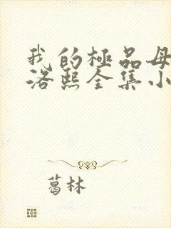 我的极品母亲林洛熙全集小说阅读