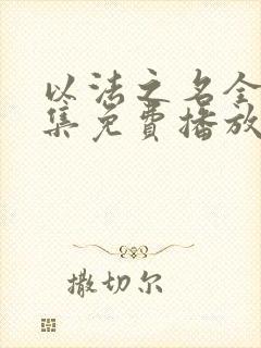 以法之名全36集免费播放电视剧下载