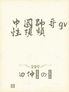 中国帅哥gv同性视频
