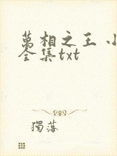 万相之王 小说全集txt