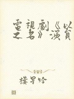 电视剧《以家人之名》演员表