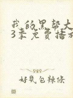 我的黑帮大佬第3季免费播放电视剧