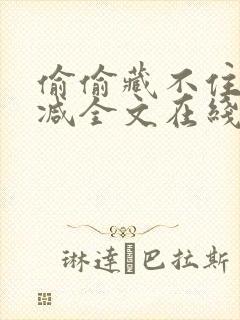 偷偷藏不住无删减全文在线阅读