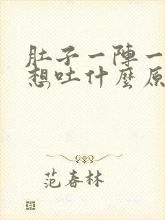 肚子一阵一阵痛想吐什么原因