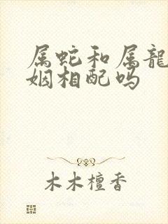 属蛇和属龙的婚姻相配吗