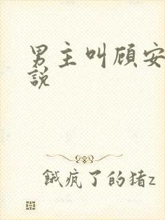 男主叫顾安的小说