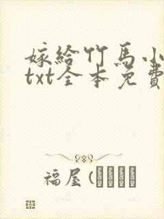 嫁给竹马小剑修txt全本免费阅读