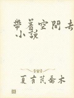 带着空间去种田 小说