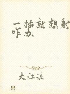 一插就想射应该咋办封面