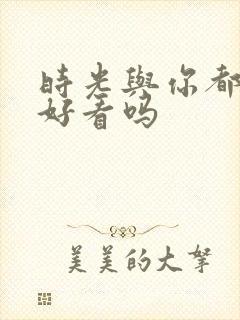 时光与你都很甜好看吗封面