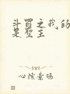 斗罗之我的武魂是圣主