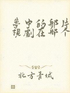 梦中的那片海电视剧在哪个台播出