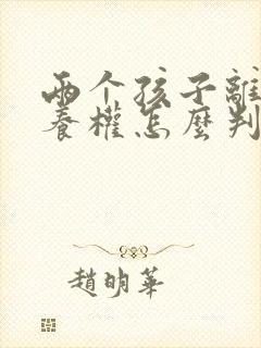 两个孩子离婚抚养权怎么判定标准