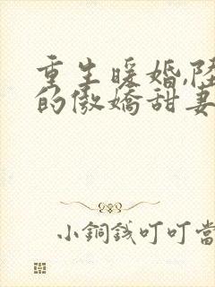 重生暖婚,陆少的傲娇甜妻