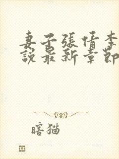 妻子张倩李源小说最新章节更新时间