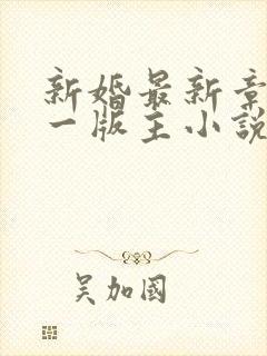 新婚最新章节第一版主小说网