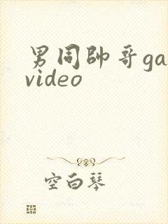 男同帅哥gayvideo