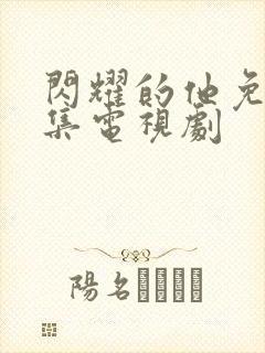 闪耀的他免费全集电视剧