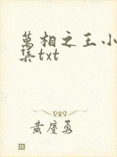 万相之王小说全集txt