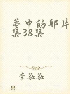 梦中的那片海全集38集