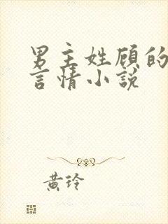 男主姓顾的现代言情小说封面