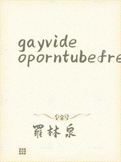 gayvideoporntubefree封面