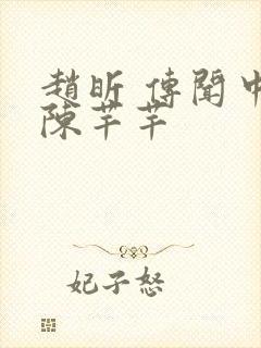 赵昕 传闻中的陈芊芊封面