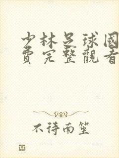 少林足球国语免费完整观看封面